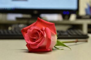 o obyčejných věcech