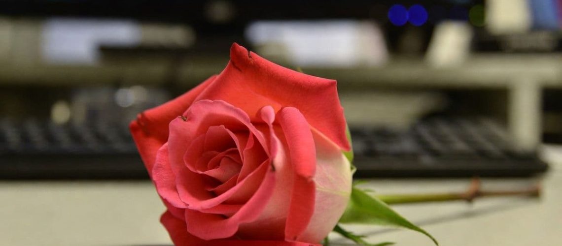 o obyčejných věcech